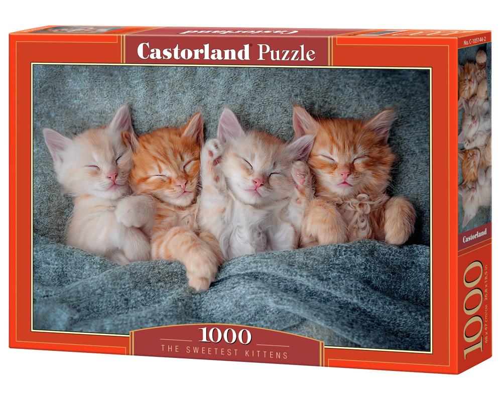 1000 Piece Puzzle: The Cutest Kittens