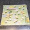 [USED] CD "Chisato Moritaka Works Collection/Acoustic Version" 1995 Edition