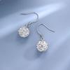 High-end Earrings for Women's New Trendy French Earrings