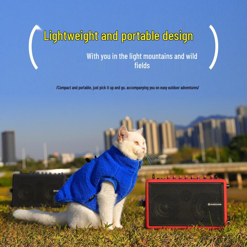 Music Knight F1 Portable Outdoor Speaker System (CN version)