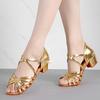 Ladies' Latin Dance Shoes Latin Soft-soled Practice Shoes Low-heeled Pointe Shoes Ballet Shoes