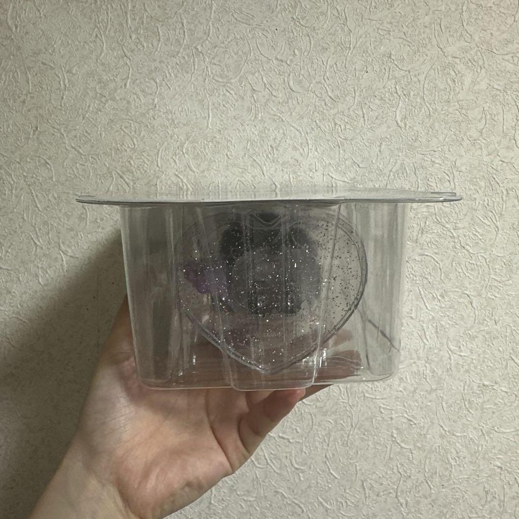[USED] Kuromi-chan Figure A Prize