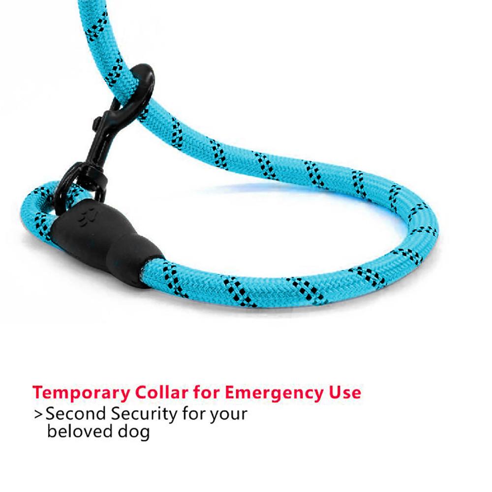 dog leash with second handle