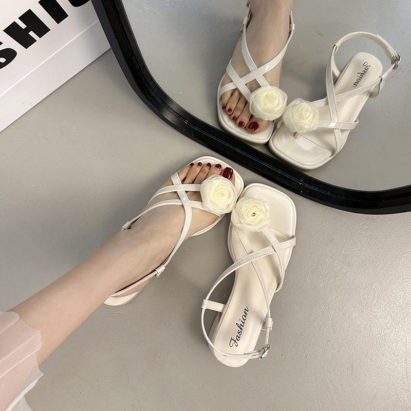 French beautiful open-toed sandals women's summer wear 2025 new silver thick heel set toe cool slippers fashion Roman shoes