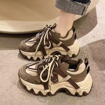 Platform Trendy Shoes Women's New Autumn and Winter Dad Shoes Women's Shoes with Cotton Casual Sports Women's Shoes