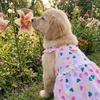 Puppies Princess Dress Summer Heart Printed Dress For Dog Pet Puppy Apparel Cute Print Cat Sweet Skirts Pet Clothes Supplies