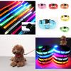 Brightly Colored Led Dog Collar Rechargeable Light-up Neckband For All Size Dogs