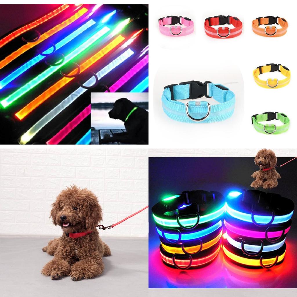 Brightly Colored Led Dog Collar Rechargeable Light-up Neckband For All Size Dogs