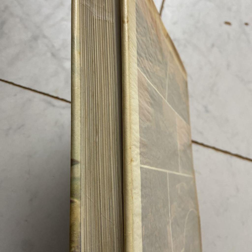 [USED] Encyclopedia of German Tanks of the World Germany