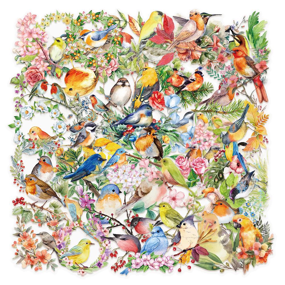 50 Watercolor Bird Transparent Stickers for Phone, Luggage, iPad, Water Bottle, Guitar - Waterproof Decorative Set
