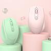 OLOEY Wireless Silent Mouse for Office and Gaming