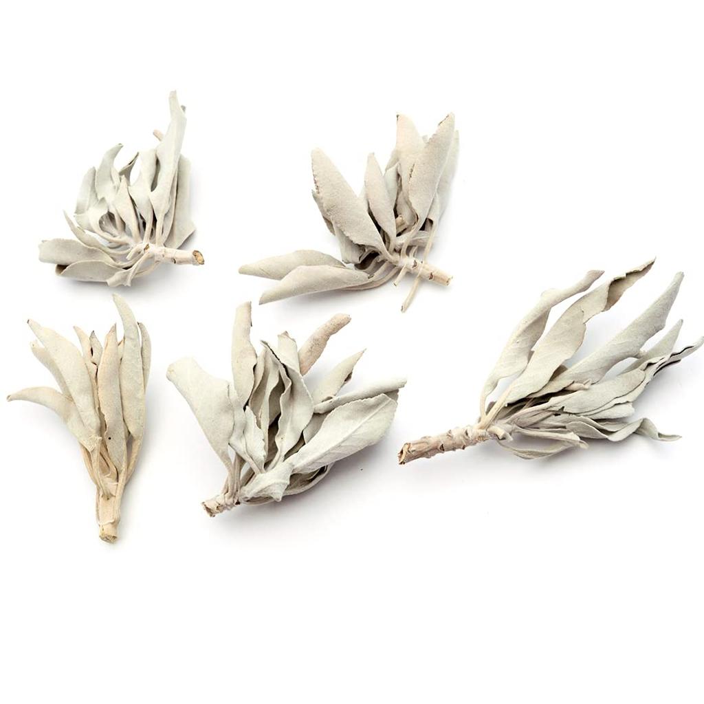 [GOLD STONE] White Sage, Pesticide-Free, California, Approx. 50g (with Stems, Small Leaves)