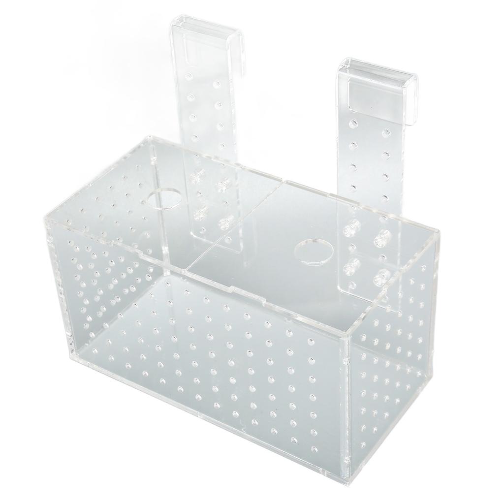 Fish Breeding Isolation Box Transparent Hook Installation Acrylic Aquarium Hatchery for Fish Tank