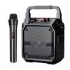 Newmine K97 Tragbares kabelloses Bluetooth Karaoke-Lautsprechersystem CN-Stecker (Adapter enthalten) (CN-Version)