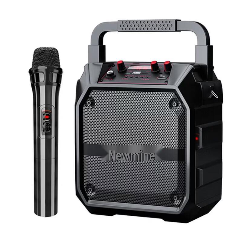 Newmine K97 Tragbares kabelloses Bluetooth Karaoke-Lautsprechersystem CN-Stecker (Adapter enthalten) (CN-Version)