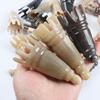 Scalp Massager Brush Ox Horn Massage Comb Scrapping Head Buffalo Horn Meridian Comb  Hair Wash
