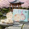 Cherry Blossom Ceramic Tableware: Japanese Bowl & Plate Gift Set