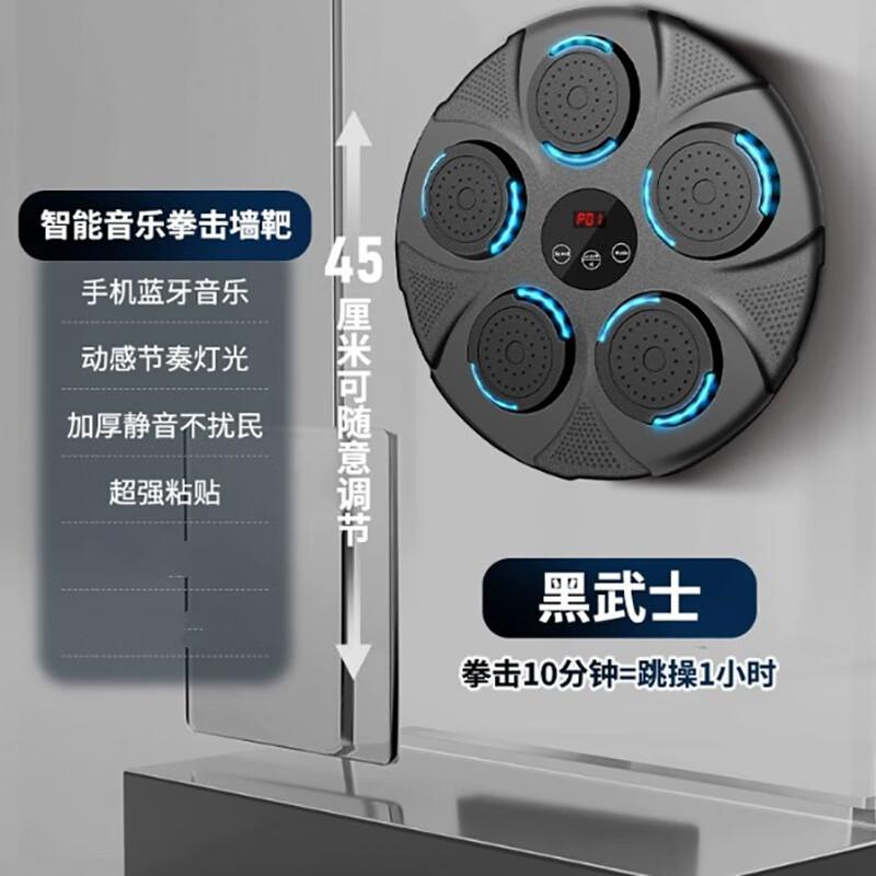 Bluetooth Music Boxing Wall Target