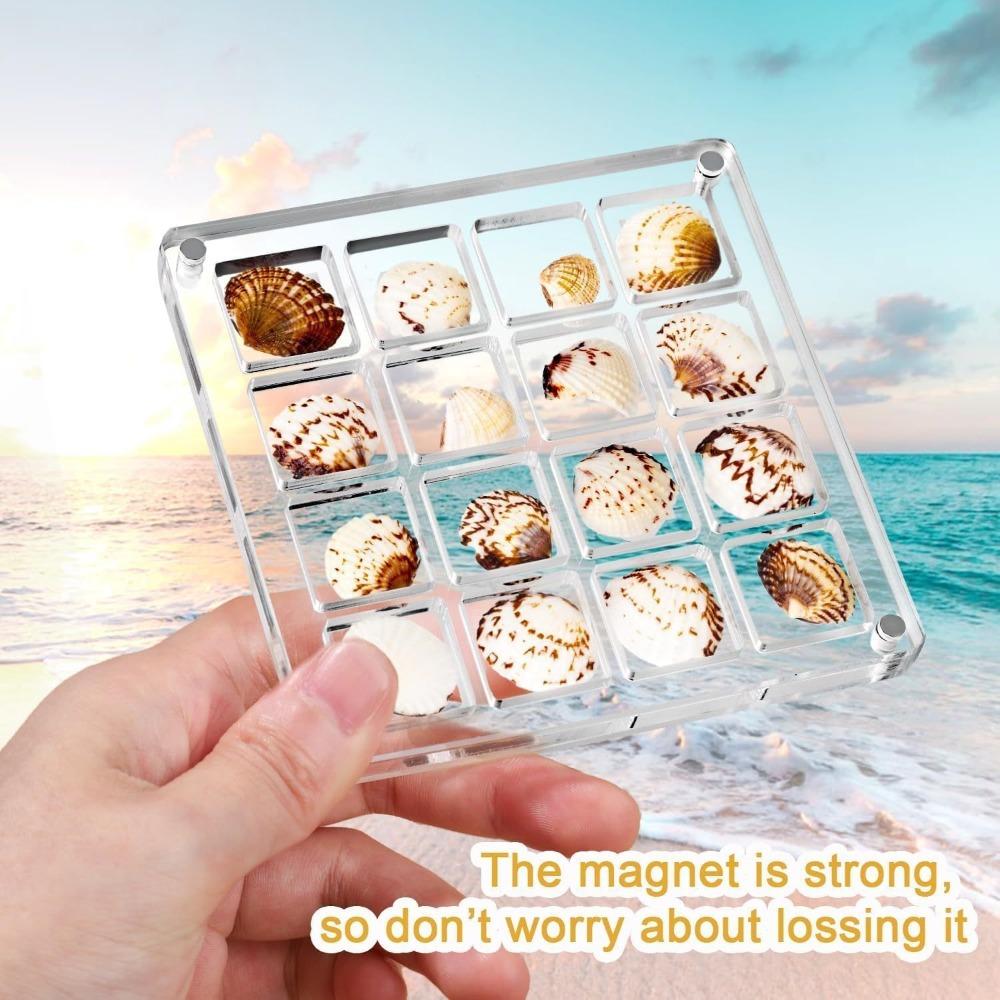 16-Grid Seashell Display Box with Magnets Acrylic Storage Display Organizer Box Durable Starfishs Trinket Storage Case