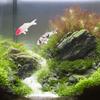 4pcs Mini Simulated Koi Fish Micro Landscape Goldfish Ornamental Fish Landscaping Ornaments For Aquarium Home Decorations