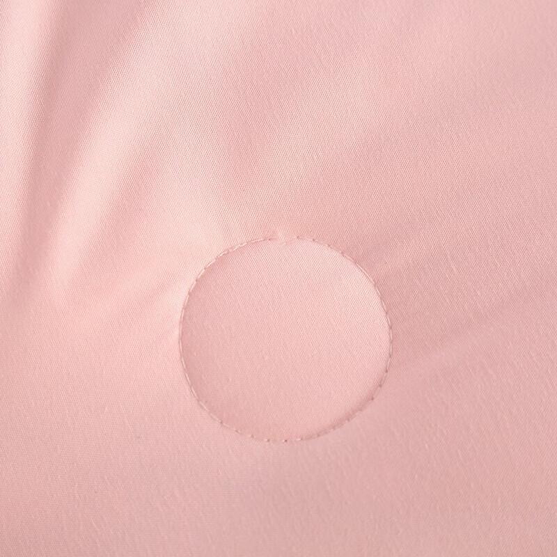 BAIWEISI Premium Everwarm Quilt