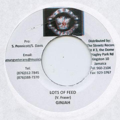 

7inch Record GINJAH - Lots Of Feed Young Veterans 2009 Jamaica Reggae, Ska & Dub