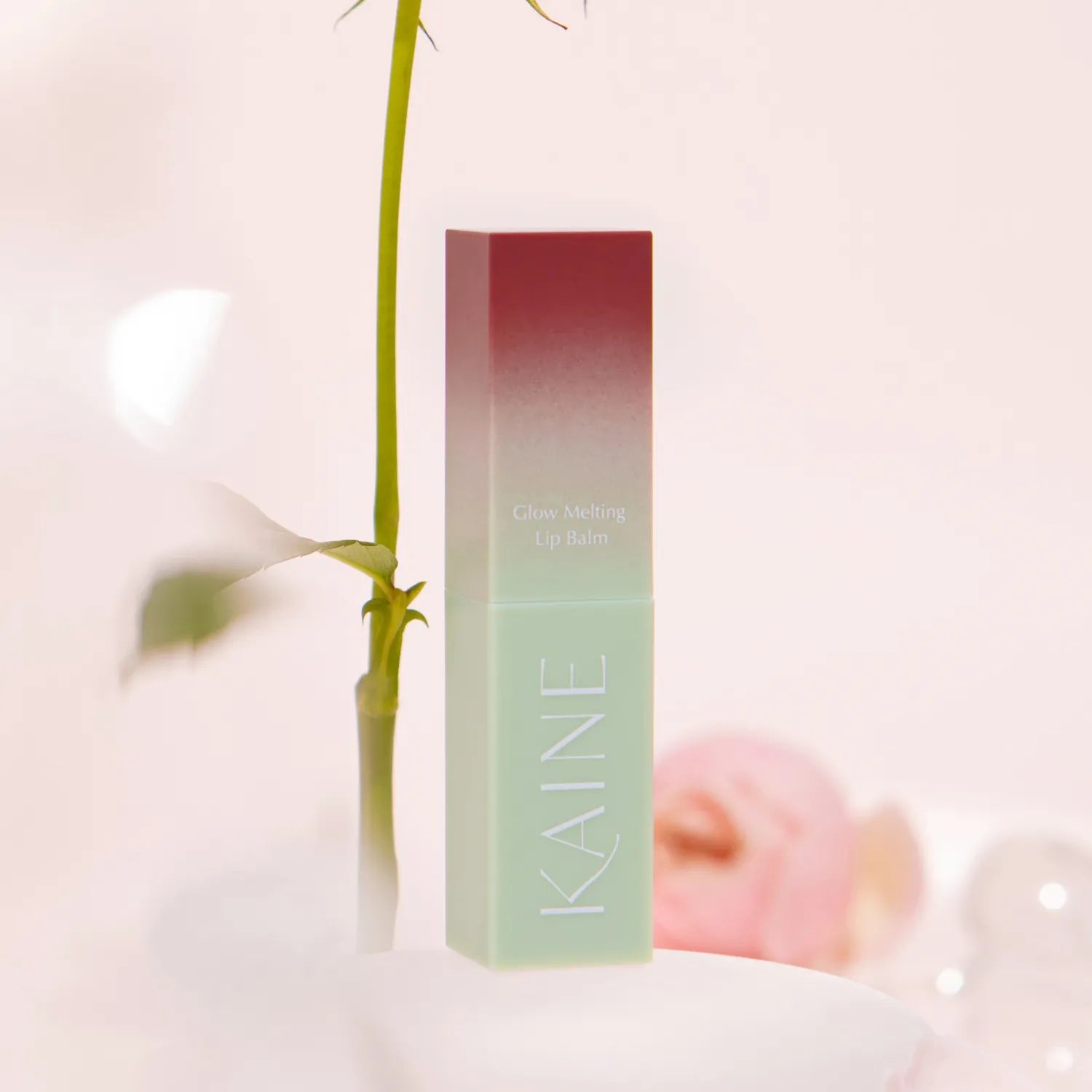 KAINE Glow Melting Lip Balm #Rosy Plum 3.4g 3.4g