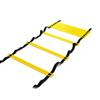 Agility Training Ladder