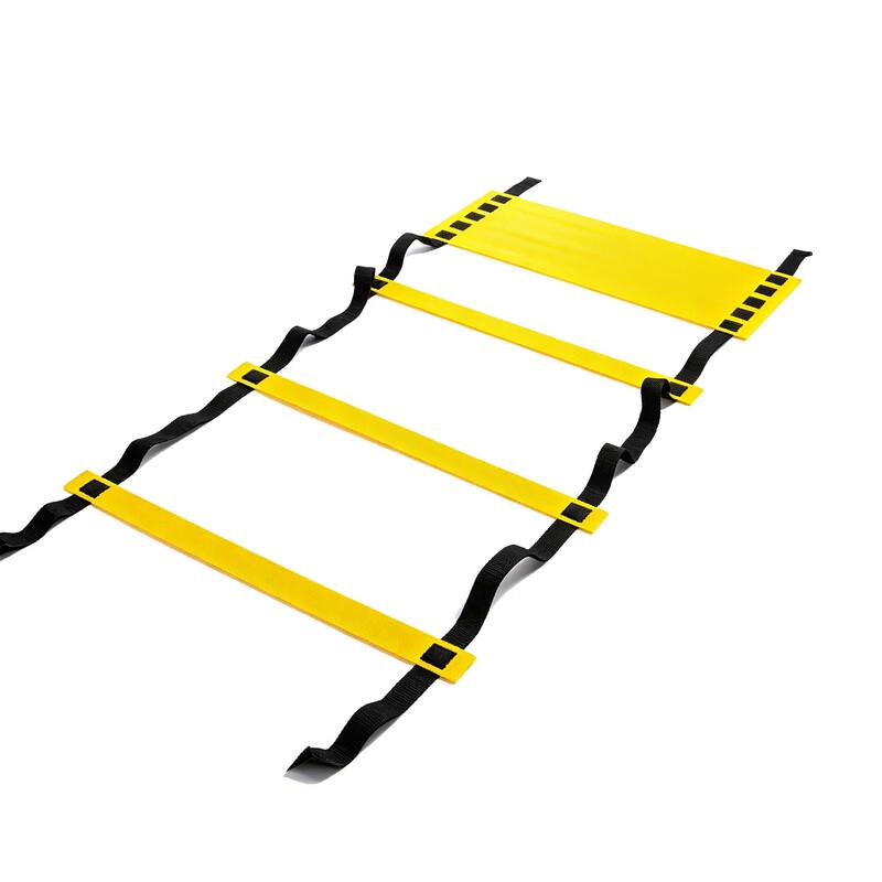Agility Training Ladder