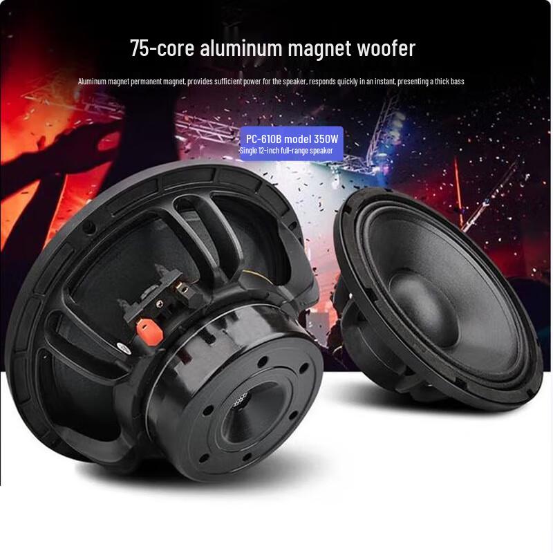 Weishu 12-inch Professional Passive Speaker