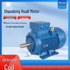 Shandong Huali 1L Series Three-Phase 22kW/30kW Asynchronous Motor with Full Copper Coil
