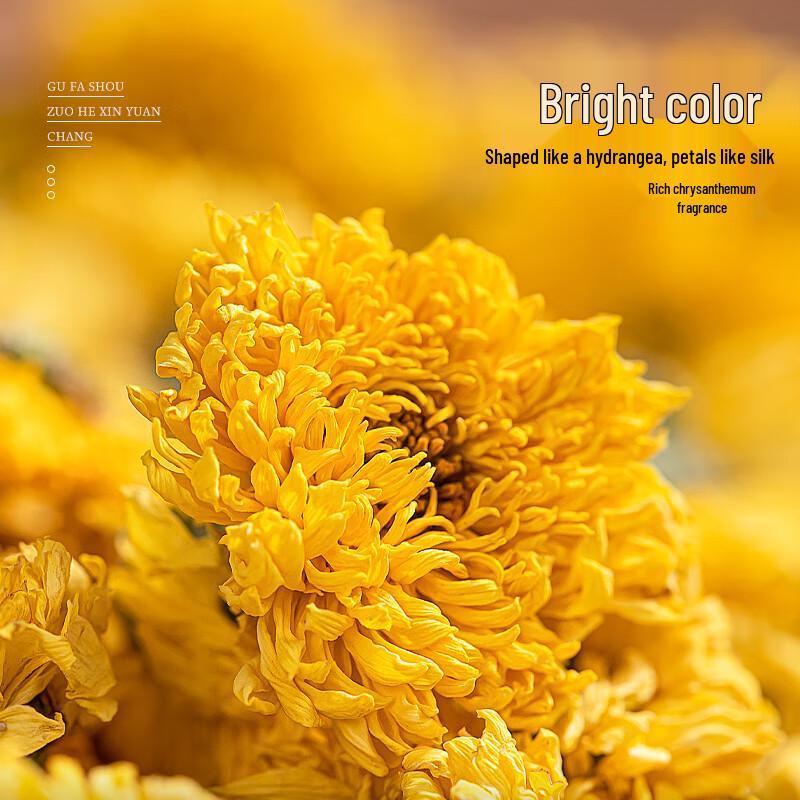 Golden Core Imperial Chrysanthemum Tea