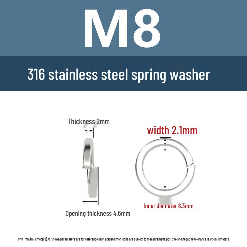 316 Stainless Steel M4-M16 Lock & Flat Spring Washers