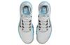 Nike Tiger Woods Tw '13 Retro Blue Lightning DR5752-001