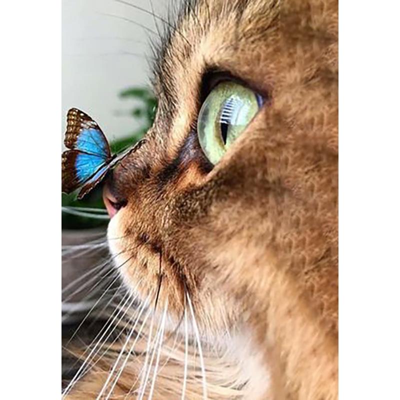 DIY Cat 5D Diamond Painting Full Round Drill Rhinestones Animals Diamond Embroidery Cross Stitch Mosaic Hobby Gift Home Decor