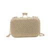 Casual Clutch Bag Evening Bag Glitter Chain Strap Women Handbags Crossbody Bag