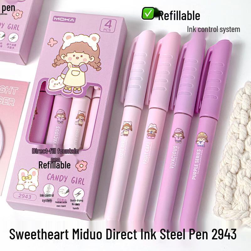 Youth Companion EF Nib Fountain Pen Set