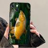 Carp Fishing Phone Case For iPhone 17 Pro Max 14 13 12 11 15 16 Pro Max Mini 15 Plus 16e 17 Air Cover