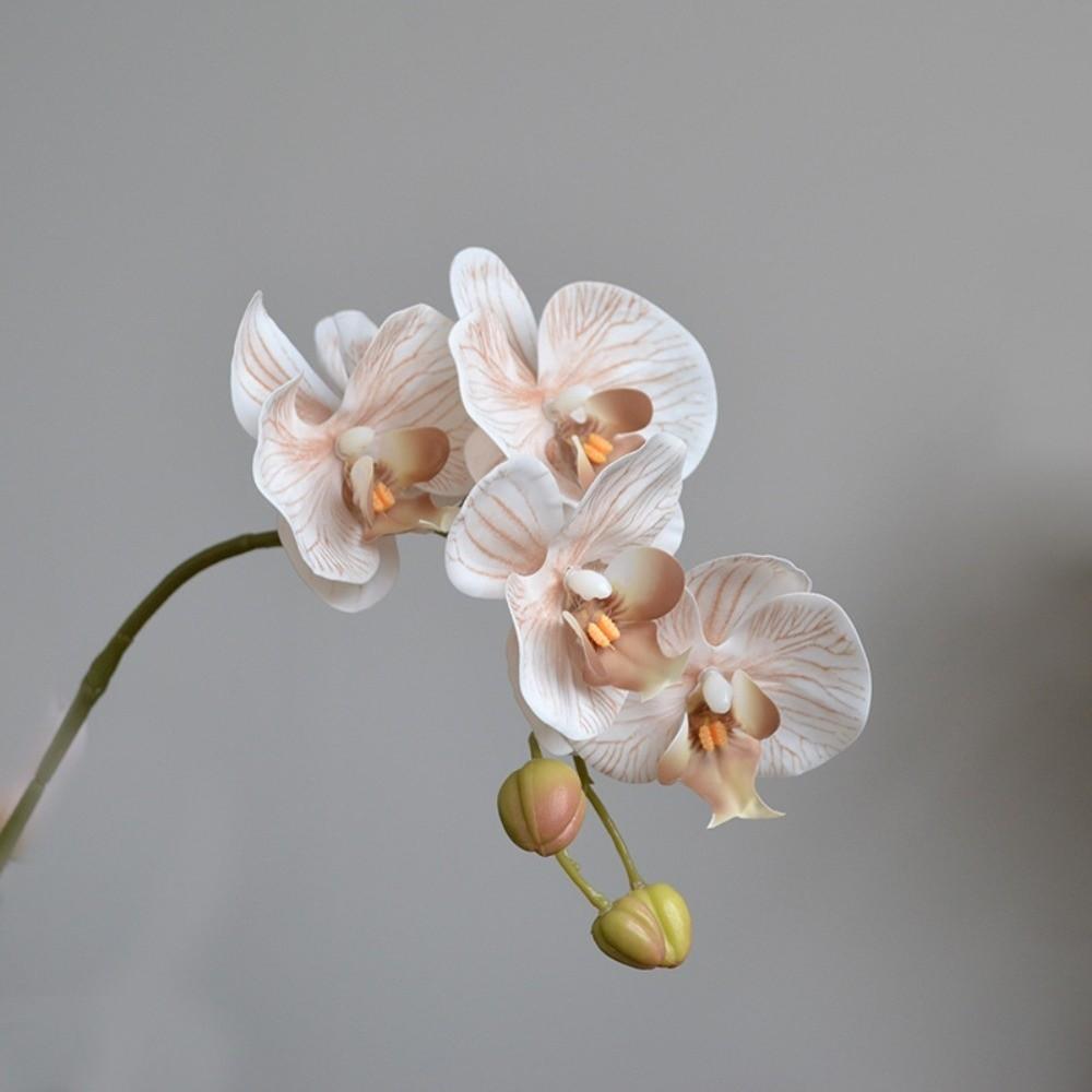 Einzelner Ast Simulation Schmetterlingsorchidee Mottenorchidee Plastikblumenstrauß Heimdekoration