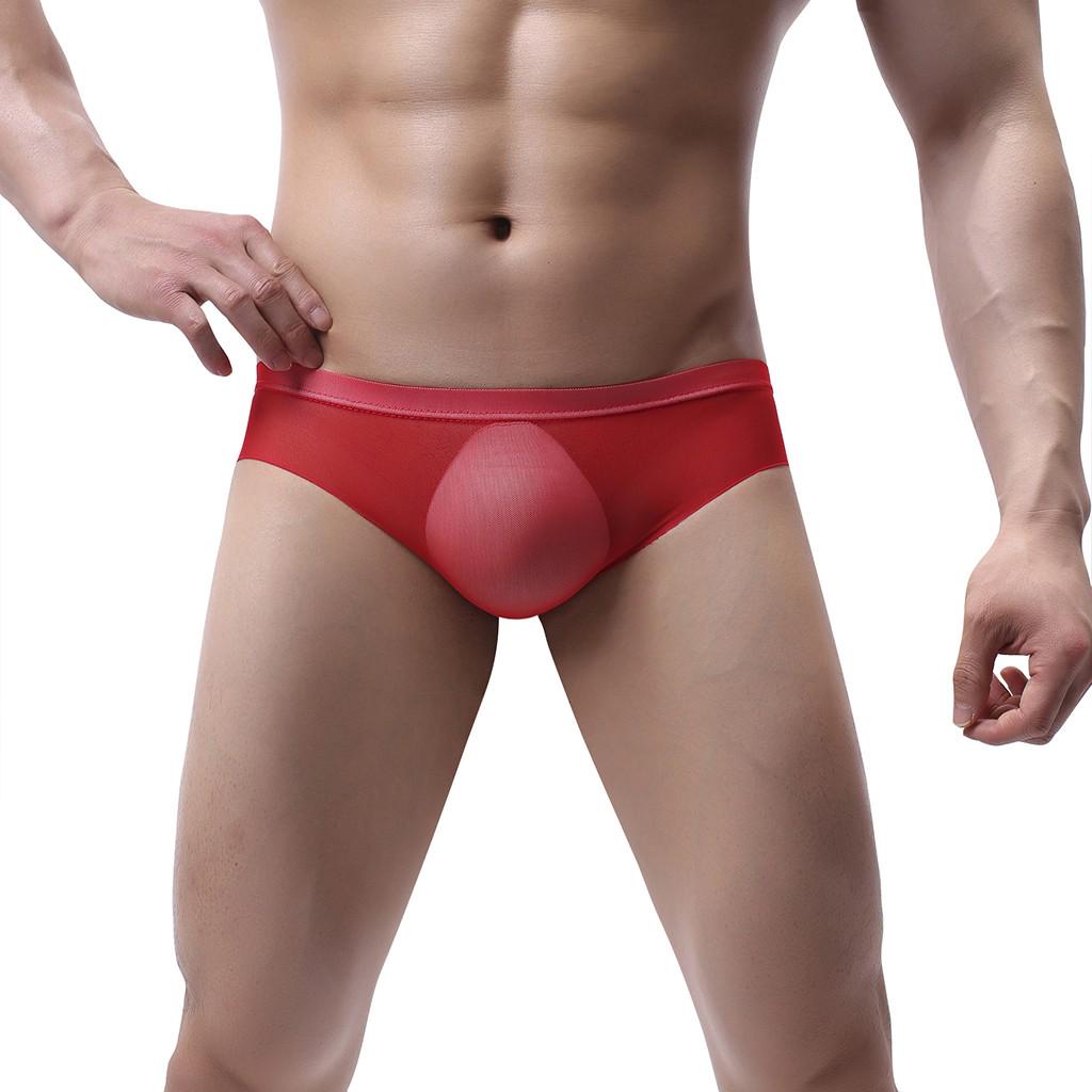 Men's  Mesh Low Waist Underwear Soft Breathable Knickers Short Sexy Briefs
