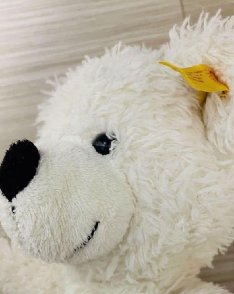 [USED] Steiff Lotte Plush Toy Teddy Bear with Suitcase