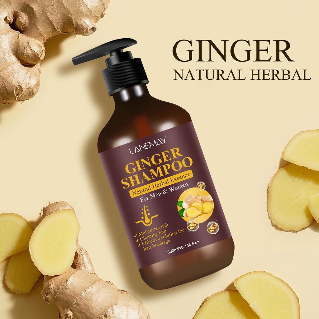 Shampoing au gingembre : nettoie et hydrate efficacement les cheveux, renforce et nourrit les cheveux, réduit les pointes fourchues et la casse, 300 ml