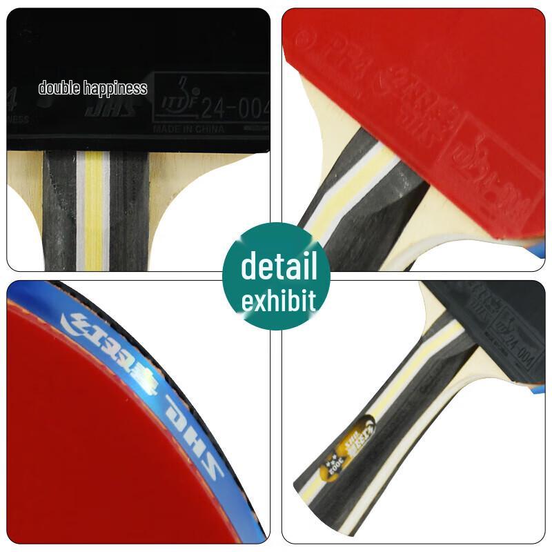 DHS F3000 3-Star Table Tennis Racket