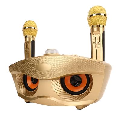 Przenośny głośnik Bluetooth Karaoke z 2 bezprzewodowymi mikrofonami Home Style KTV SD306