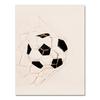 American Retro Football Basketball Poster Wall Art Football Canvas Painting Nordic Style Modern Home Living Room Decoration No Frame