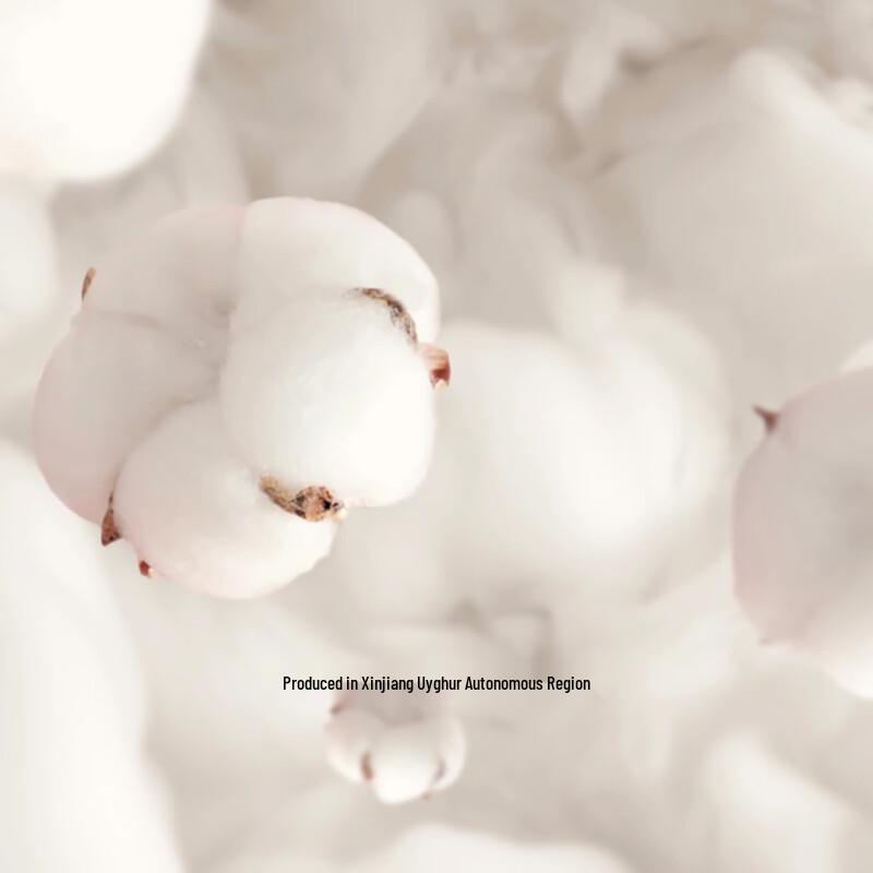 LISM 2025 Xinjiang Long-Staple Cotton Winter Duvet Insert