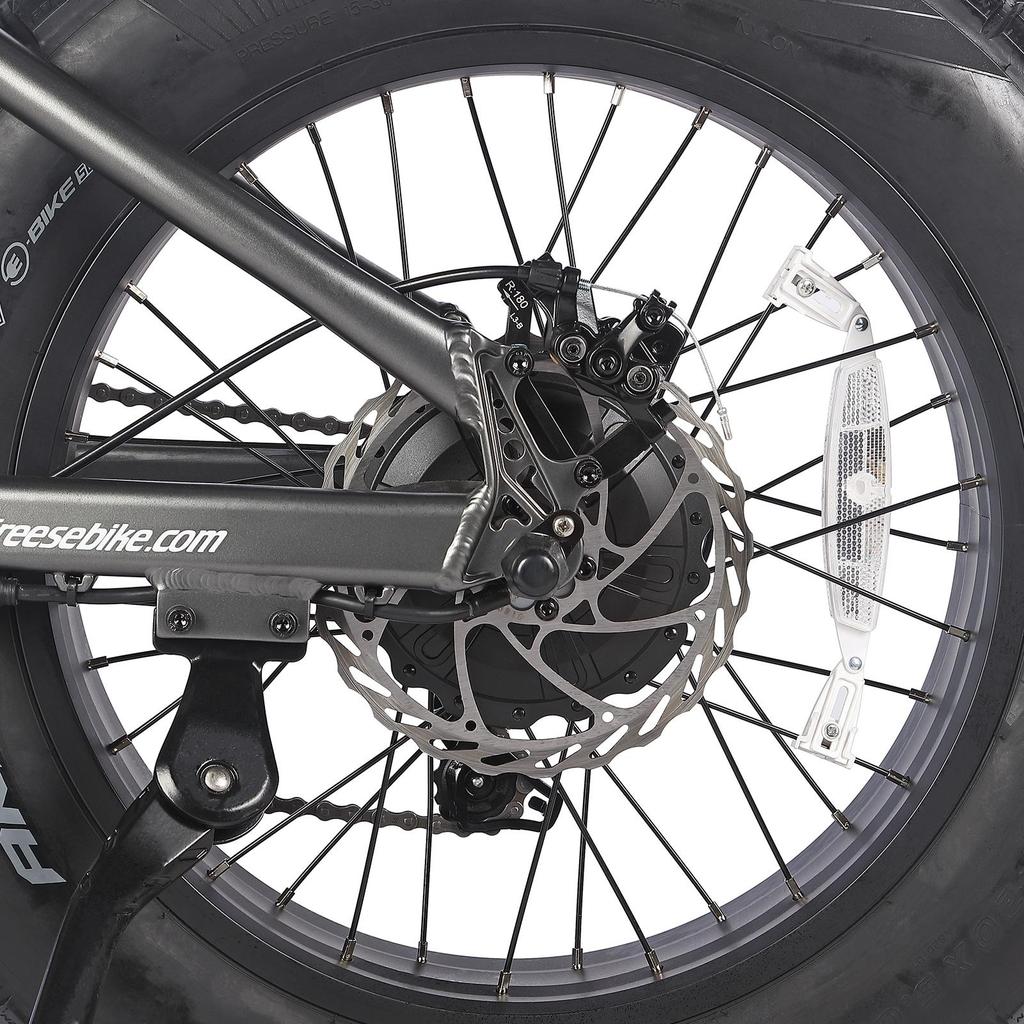 Electric Bicycle FAFREES F20 Ultra 20" 750W Motor Electric Bike Adult Top Speed 40Km/h 48V 25AH Range 140Km Load 180Kg