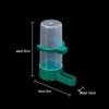 Bird & Parrot Automatic Water Feeder and Food Dispenser