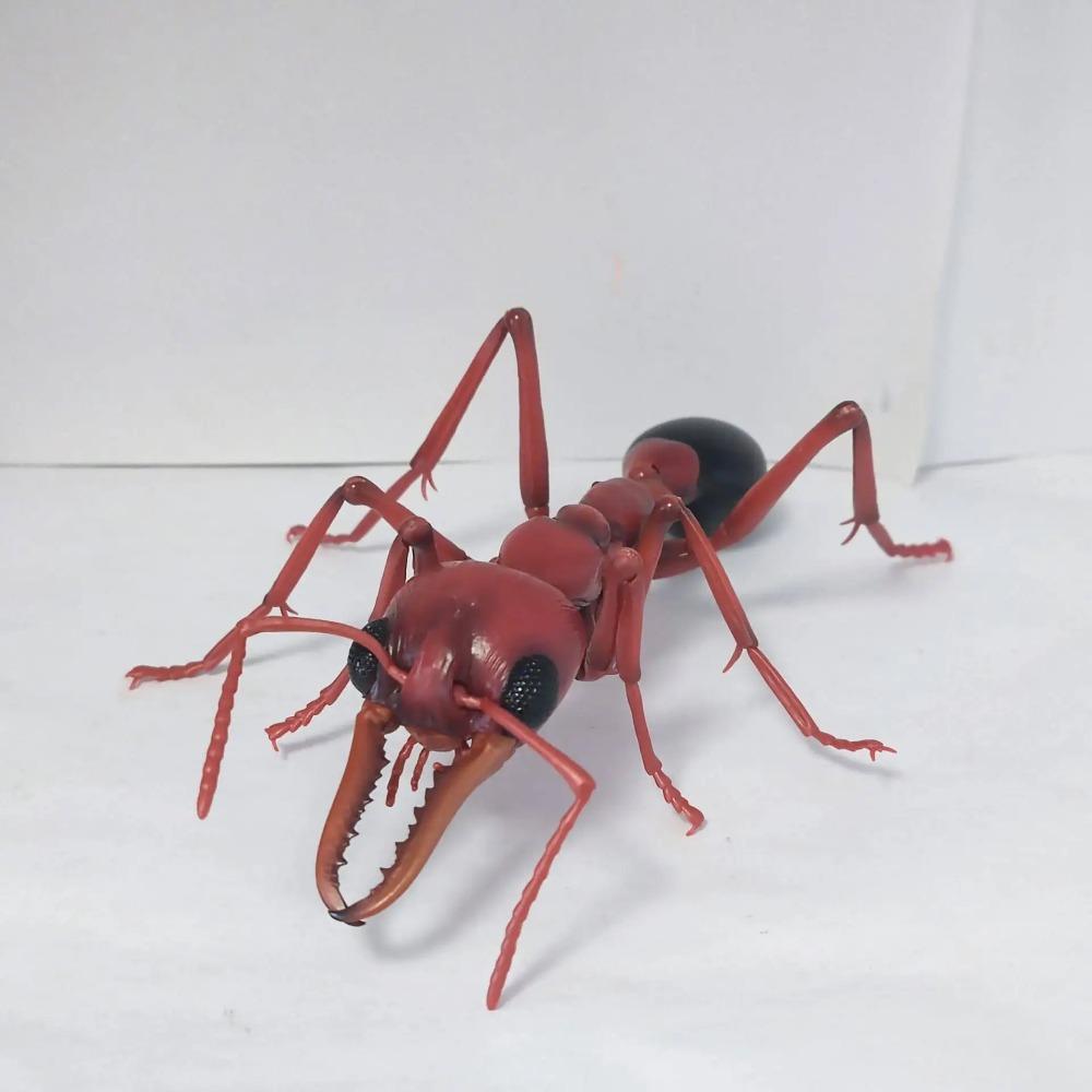 Original Bandai Simulation Insect Realistic Wasp Myrmecia Bulldog Ant Premium Lifelike Collect Model Toys Gifts