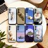Telefon kapları – Smartphone Bumper Kılıflar